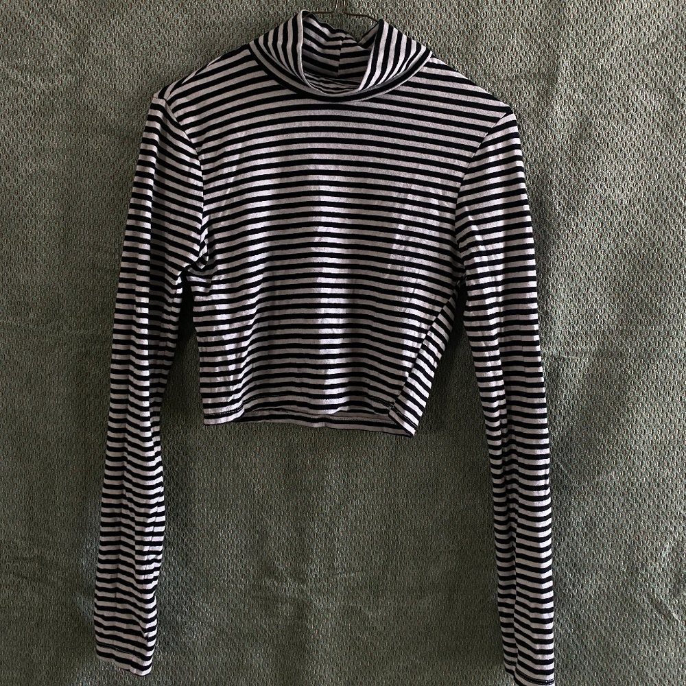 Striped Turtleneck Longsleeve Croptop